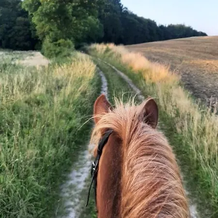Appartamento Mini-lejlighed Med Kokken - Deler Bad Og Toilet Med Nabolejlighed 2 *