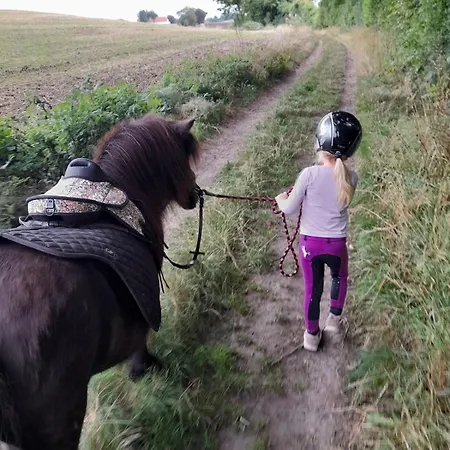 Appartamento Mini-lejlighed Med Kokken - Deler Bad Og Toilet Med Nabolejlighed 2 Asperup