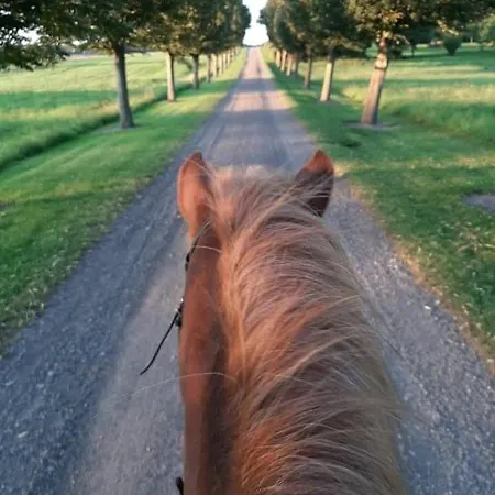 Mini-lejlighed Med Kokken - Deler Bad Og Toilet Med Nabolejlighed 2 Appartamento Asperup