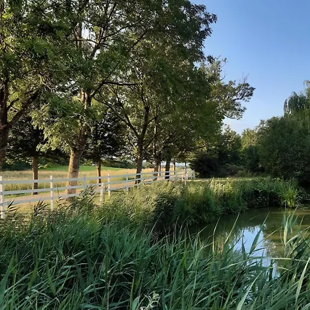 Mini-lejlighed Med Kokken - Deler Bad Og Toilet Med Nabolejlighed 2 *