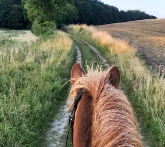 アパート Mini-lejlighed Med Kokken - Deler Bad Og Toilet Med Nabolejlighed 2 *