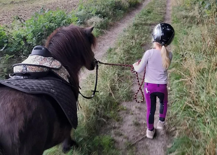 アパート Mini-lejlighed Med Kokken - Deler Bad Og Toilet Med Nabolejlighed 2 Asperup