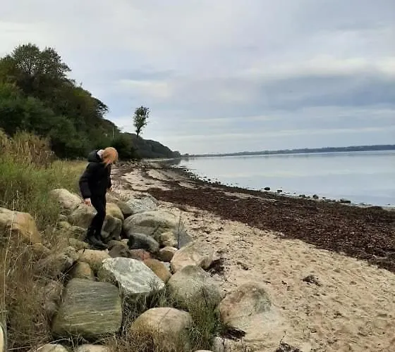 Mini-lejlighed Med Kokken - Deler Bad Og Toilet Med Nabolejlighed 2 アパート Asperup