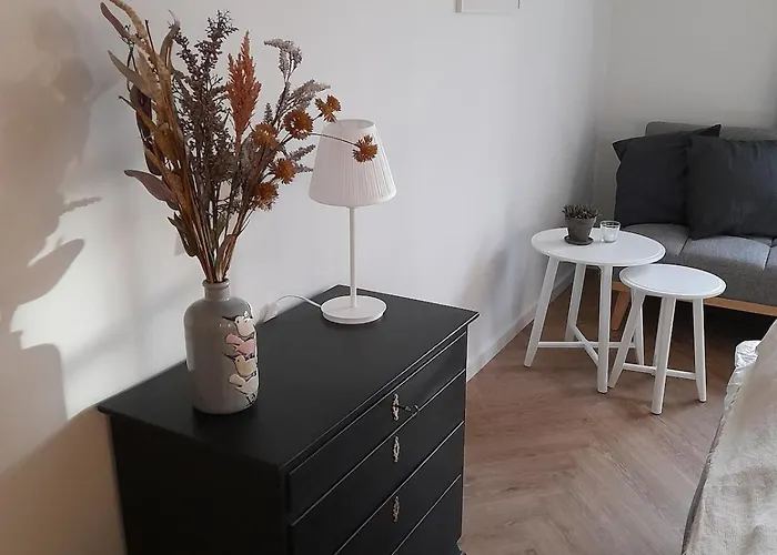 Mini-lejlighed Med Kokken - Deler Bad Og Toilet Med Nabolejlighed 2 アパート