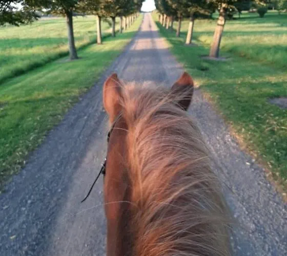 Mini-lejlighed Med Kokken - Deler Bad Og Toilet Med Nabolejlighed 2 アパート Asperup
